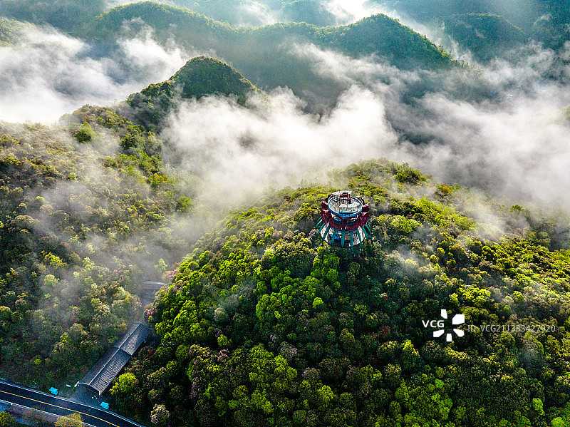 《贵州毕节百里杜鹃》图片素材