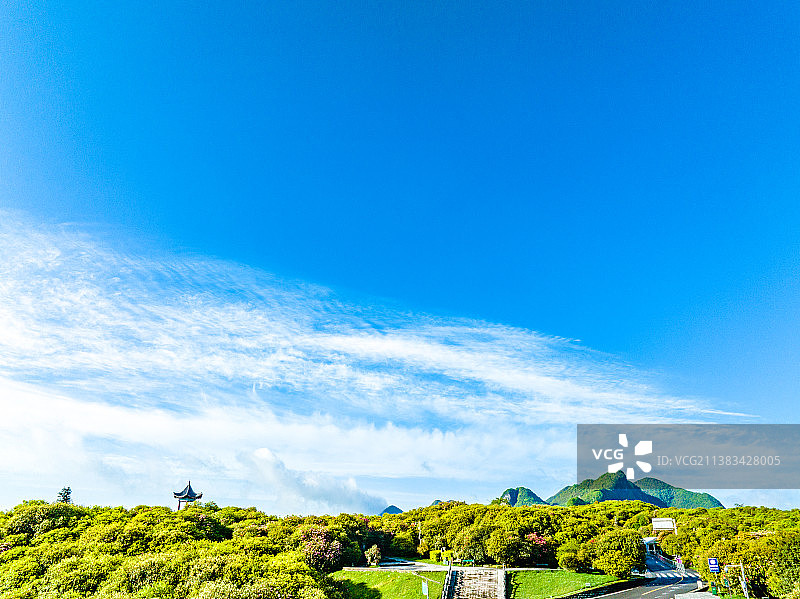 《贵州毕节百里杜鹃》图片素材