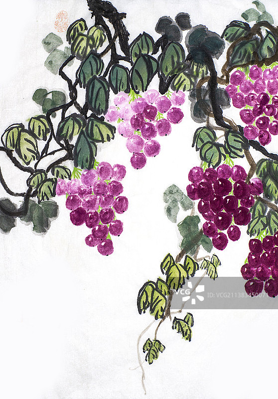 国画葡萄图片素材