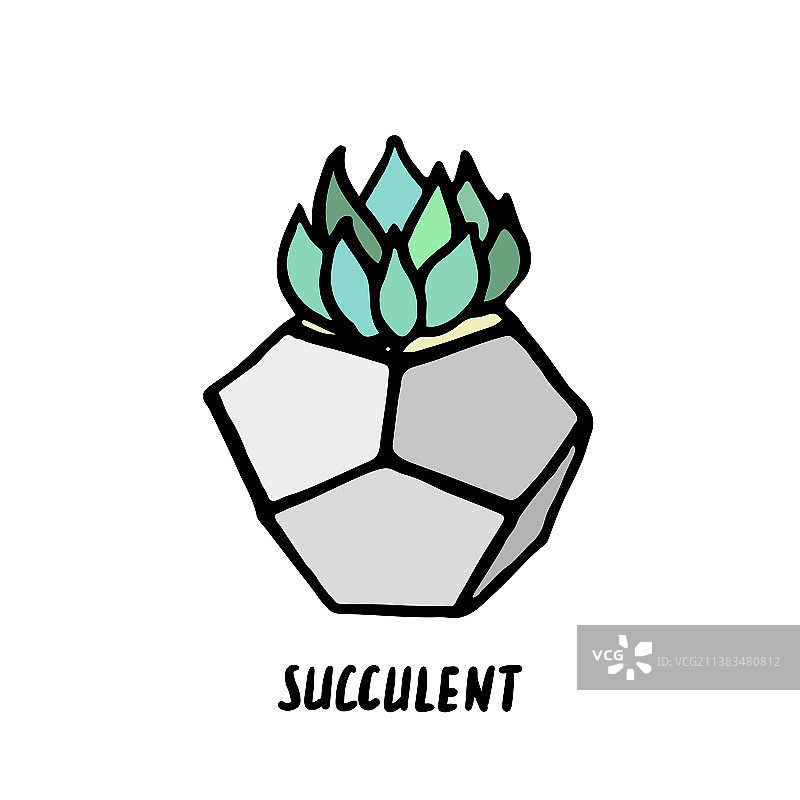 现代风格的多肉植物涂鸦印花图片素材