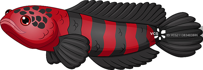 卡通红色和黑色鱼鳢鱼图片素材