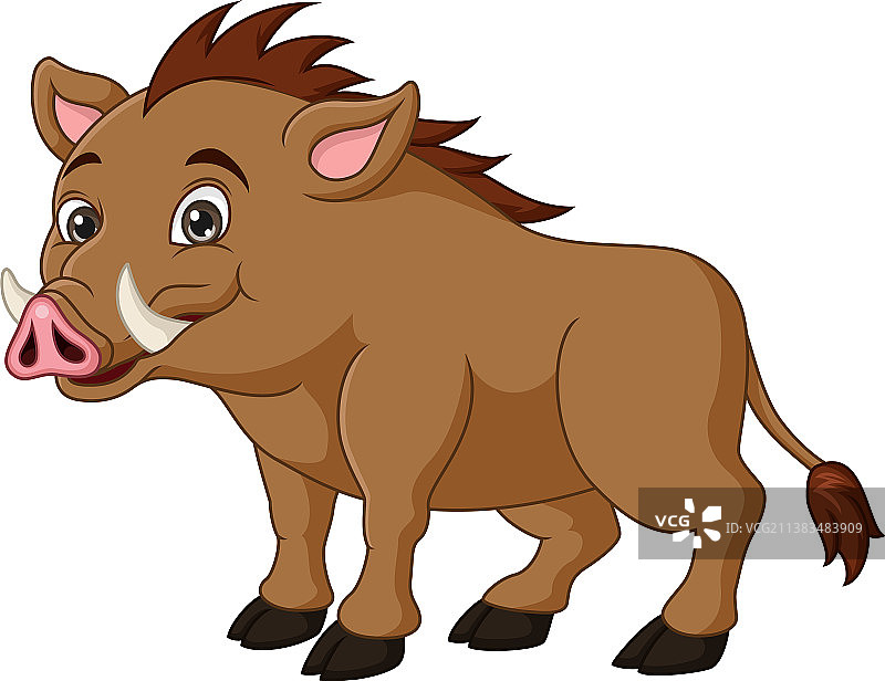 白色背景上的卡通野猪图片素材