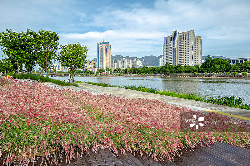 黄岩永宁江边的绿色生态休亲公园图片素材