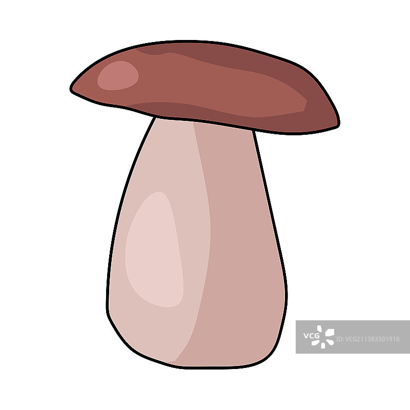 涂鸦风格的美味牛肝菌图片素材