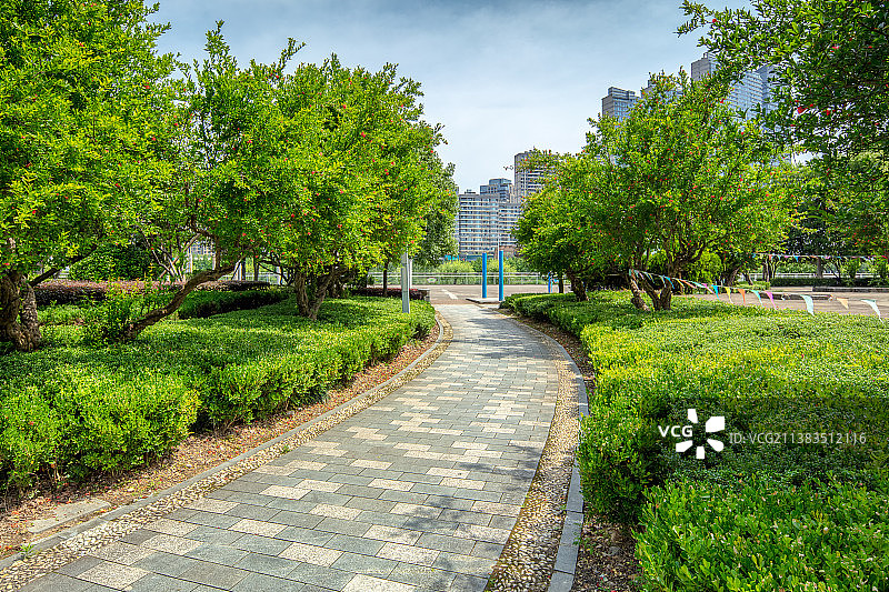永宁公园内的绿树成荫的休闲小道图片素材
