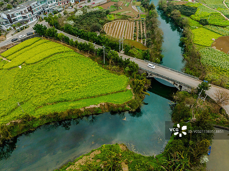 《贵州兴义万峰林油菜花》图片素材