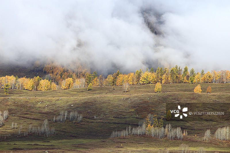 禾木秋色第一组图片素材