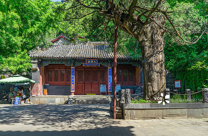中国非都市风光拍摄主题，山东省泰安市国内著名景点泰山风景区，元君殿和古老的银杏树，户外白昼无人图像摄图片素材