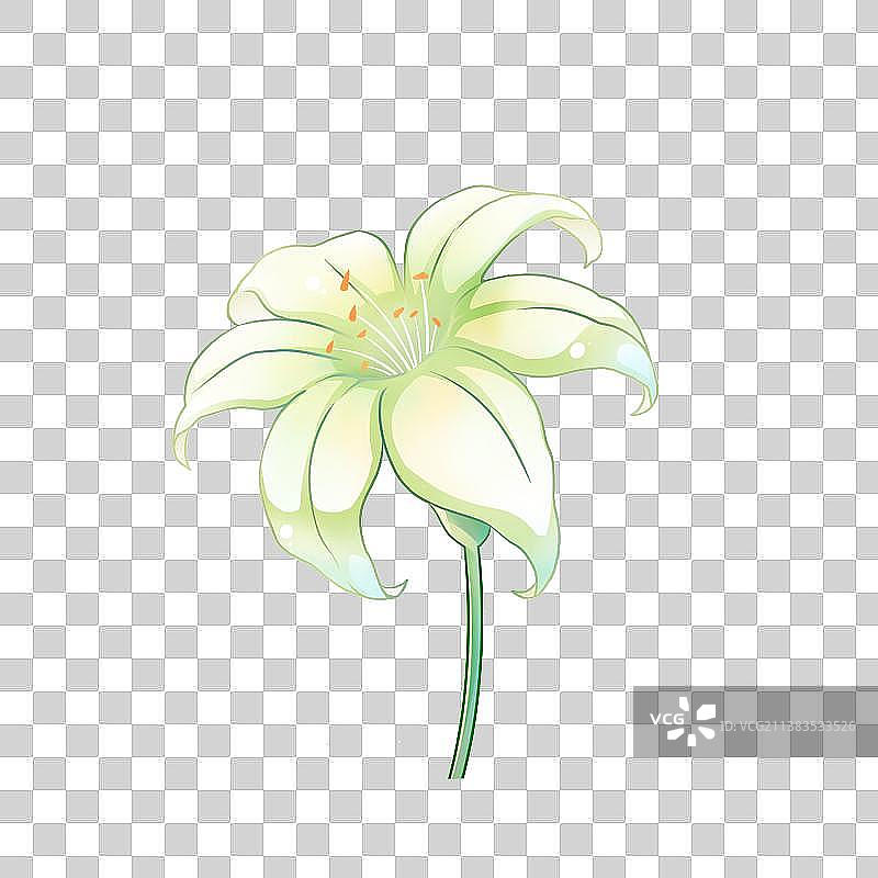 花卉系列——百合，卡通手绘素材图片素材