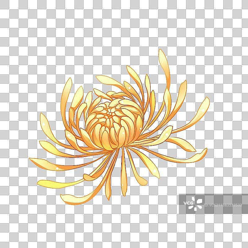 花卉系列——菊花，卡通手绘素材图片素材