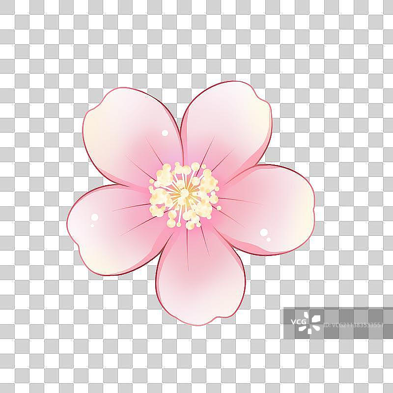 花卉系列——桃花，卡通手绘素材图片素材