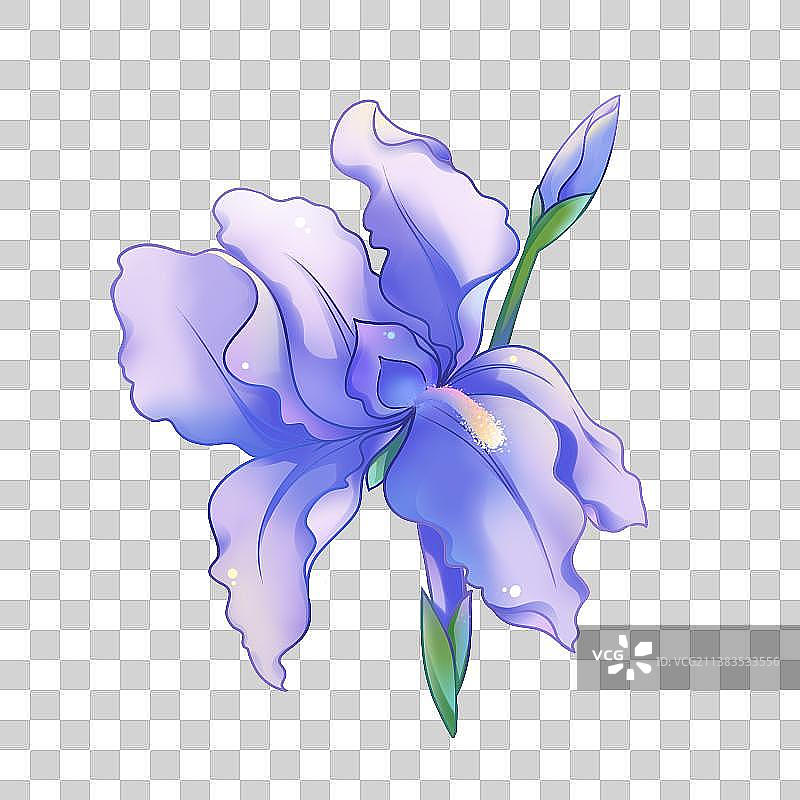 花卉系列——鸢尾花，卡通手绘素材图片素材
