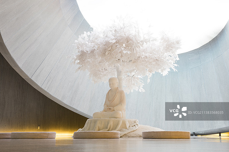 南京大报恩寺僧侣在菩提树下参禅悟道场景图片素材