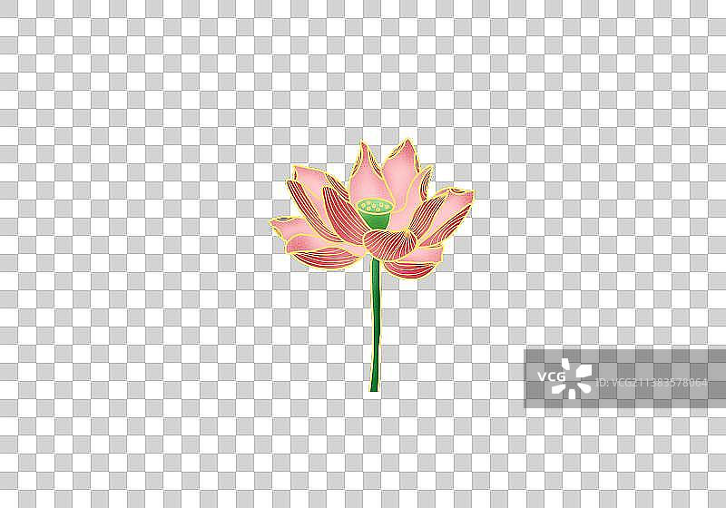 荷花 元素图片素材