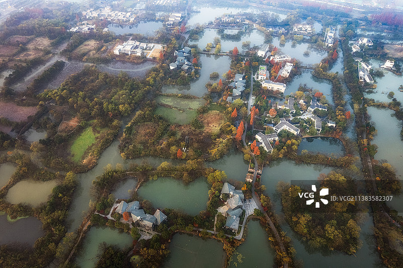 西溪湿地的秋天图片素材