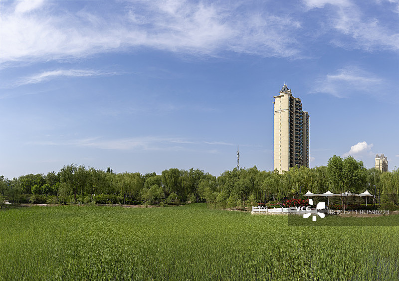 宁夏吴忠滨河公园风景图片素材