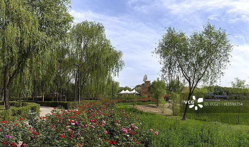 宁夏吴忠滨河公园风景图片素材