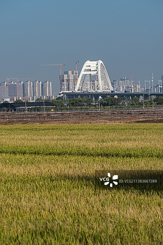 广州南沙区明珠湾农业公园图片素材