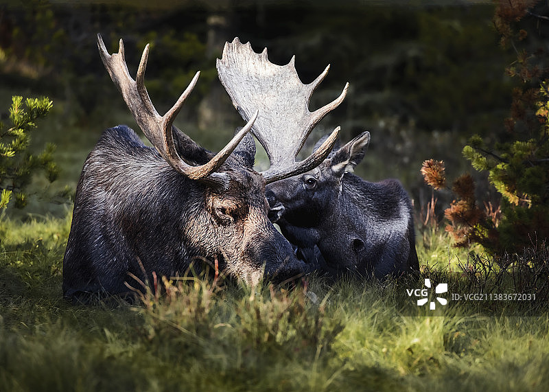 加拿大艾伯塔沿途图片素材