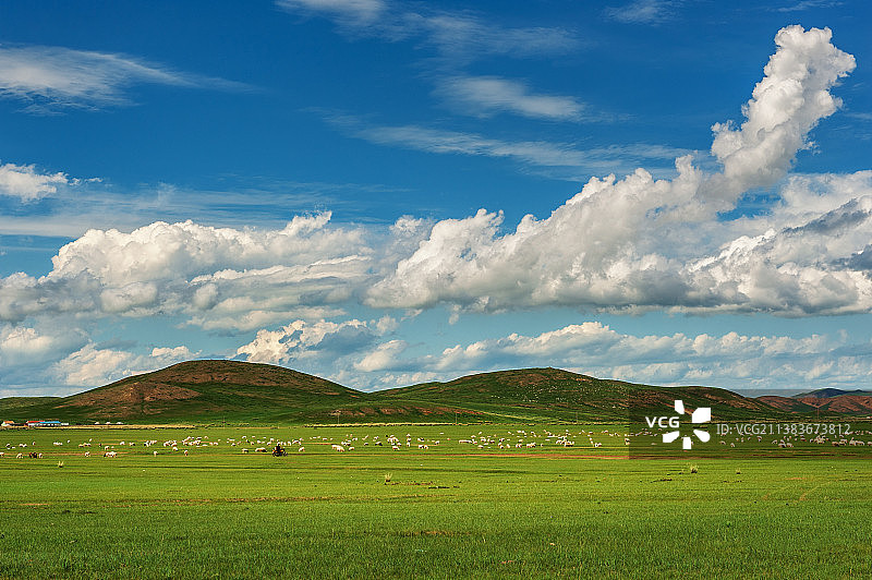 乌拉盖大草原图片素材