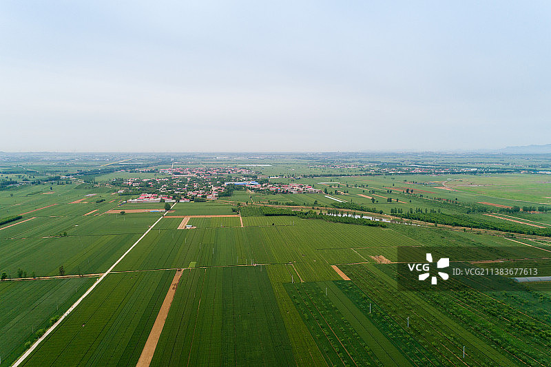 航拍麦田和村庄图片素材