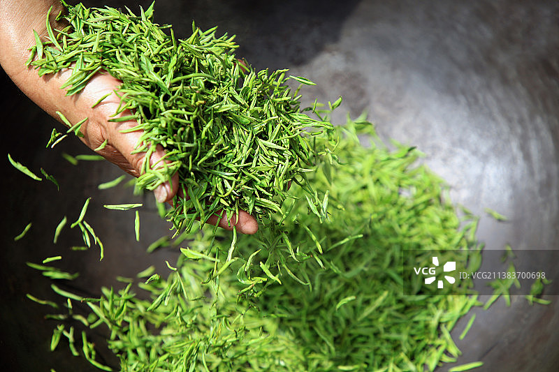 手工炒茶人工炒茶叶铁锅炒茶叶图片素材