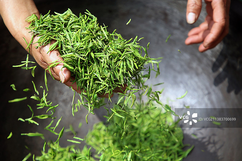 手工炒茶人工炒茶叶铁锅炒茶叶图片素材