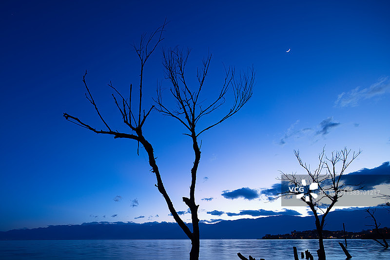 大理洱海双廊湖畔的树枝图片素材