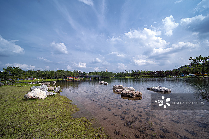 内江市大自然湿地公园绣球花和城市风光图片素材