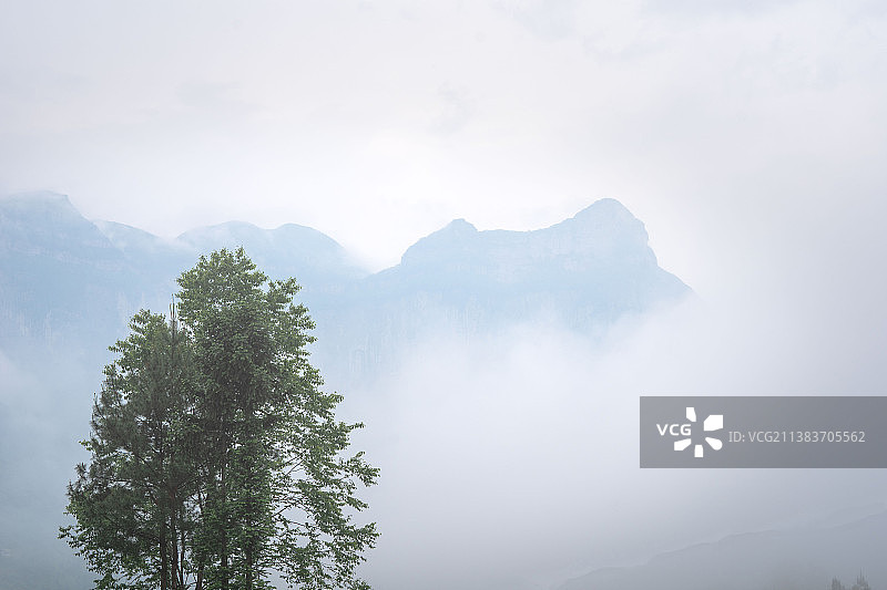 茶山云雾缭绕风景如画图片素材