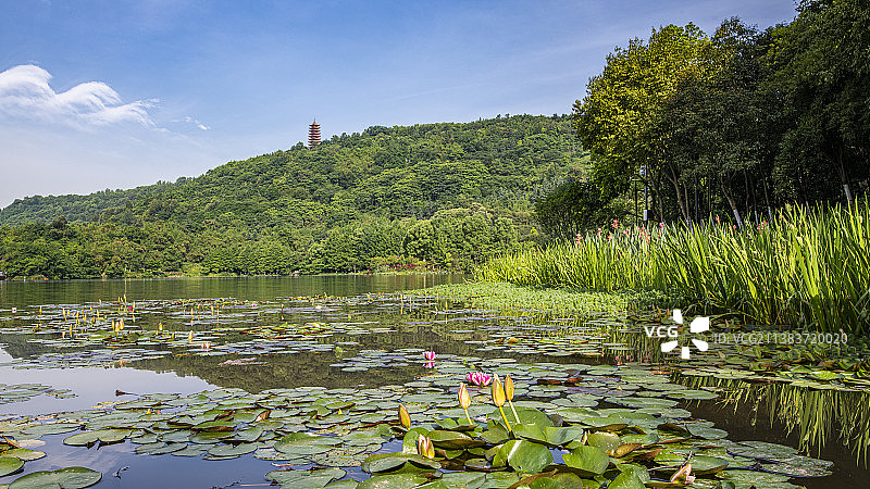 重庆照母山公园图片素材