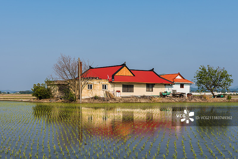 田间人家2图片素材