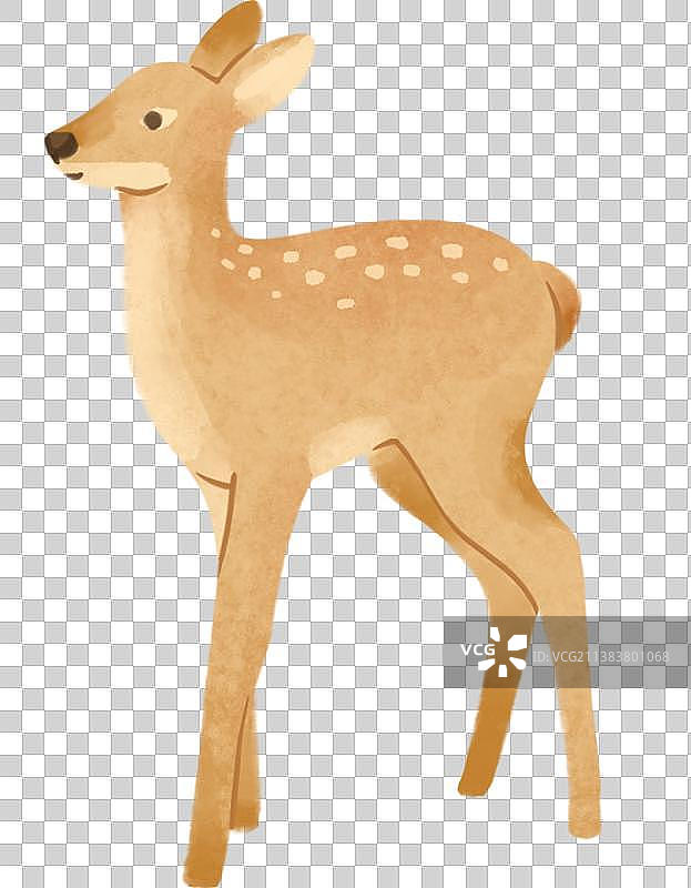 手绘水彩可爱动物小鹿图片素材