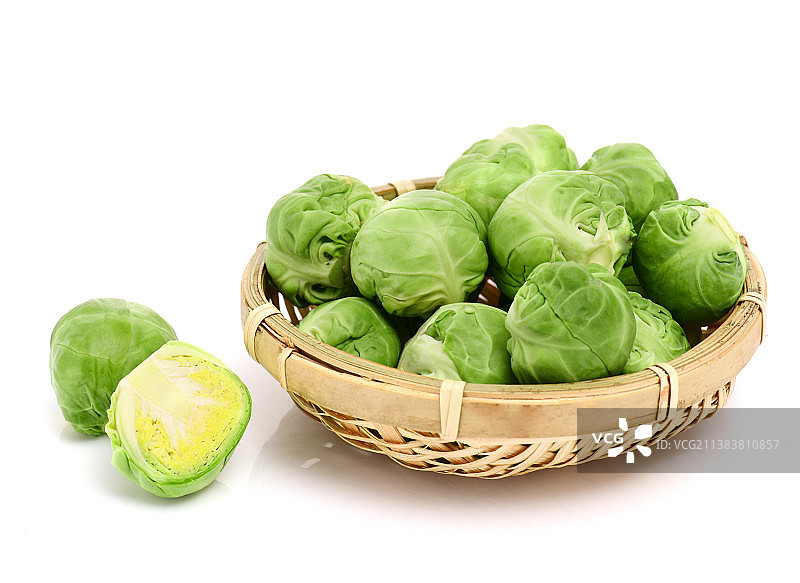 孢子甘蓝图片素材