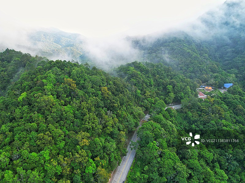 海南热带雨林国家公园图片素材