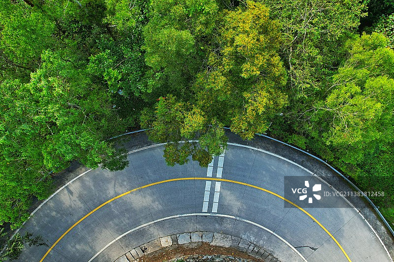 海南热带雨林国家公园图片素材