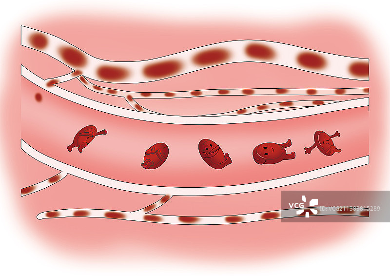 血管里得活动图片素材
