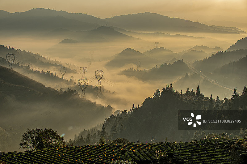 茶乡晨曦图片素材