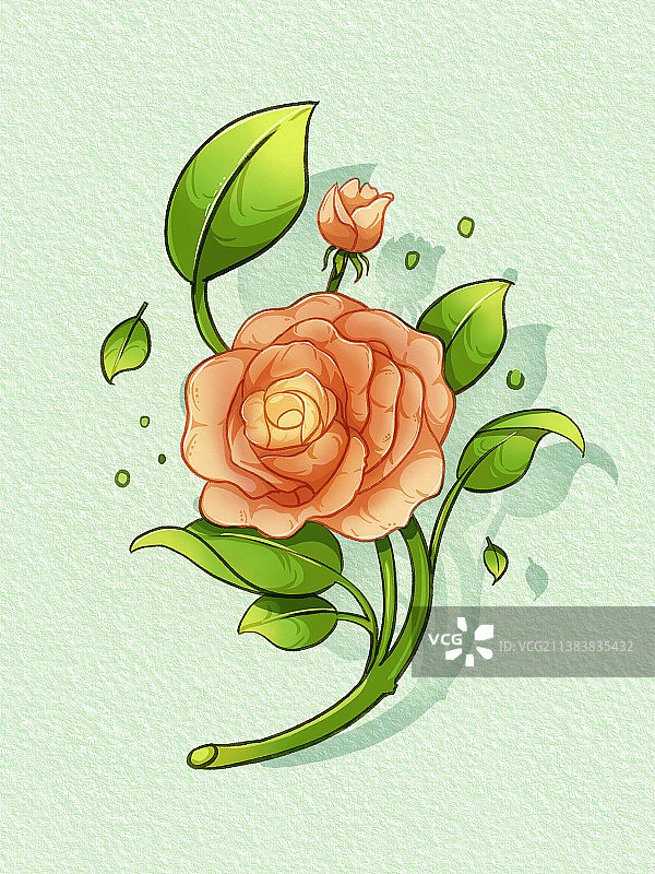 手绘小清新牡丹花花卉植物图片素材