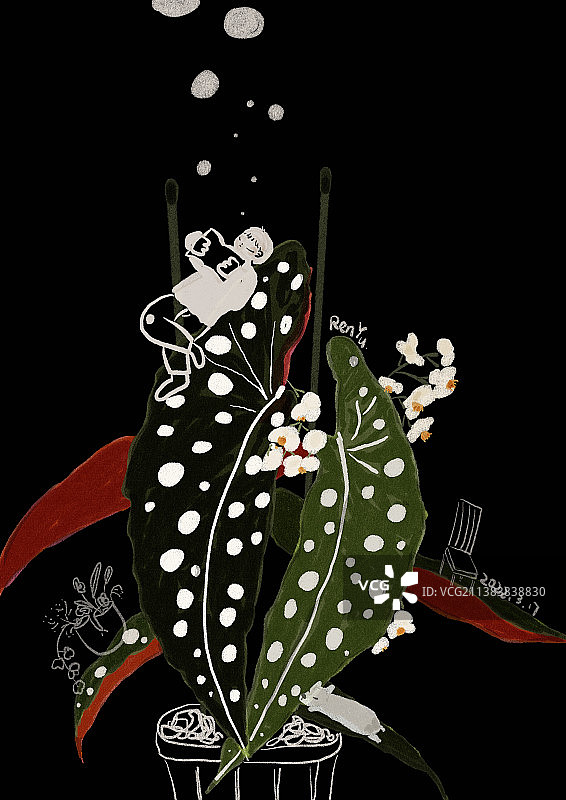 鳟鱼秋海棠图片素材