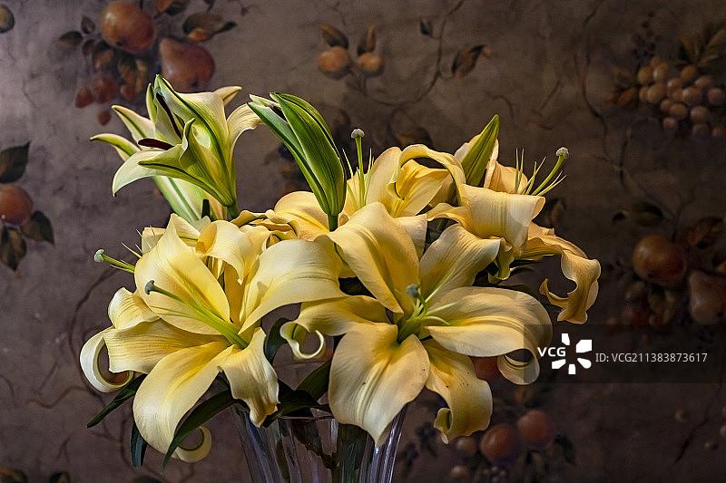 黄百合图片素材