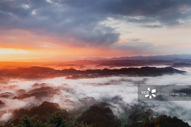 飞鸽林场云海图片素材