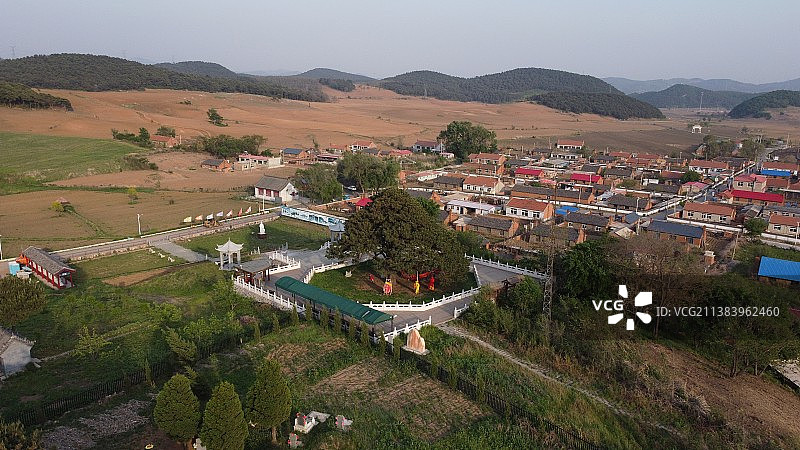 红带沟大清神树 铁岭图片素材