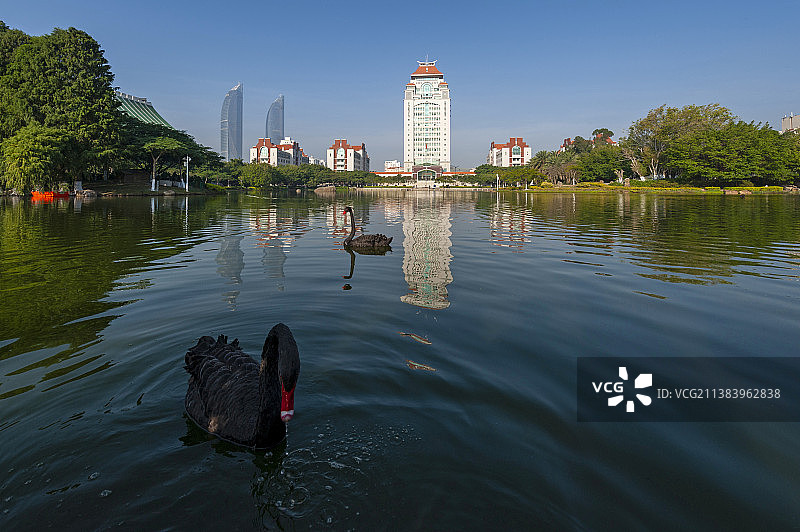 厦门大学芙蓉湖图片素材