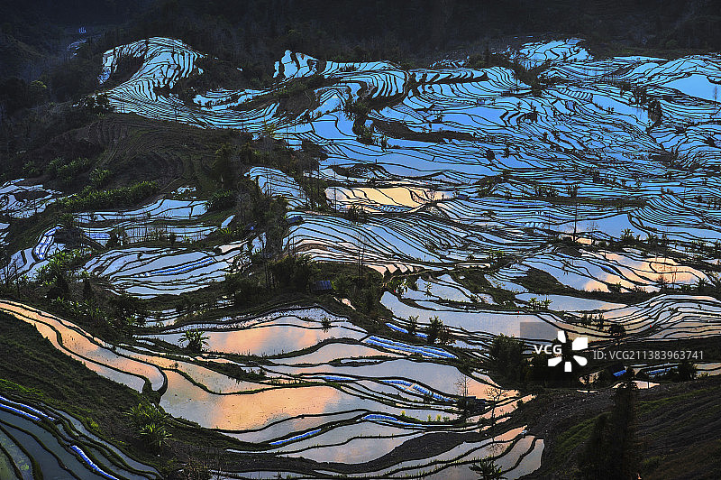 雕龙画凤的元阳哈尼梯田图片素材