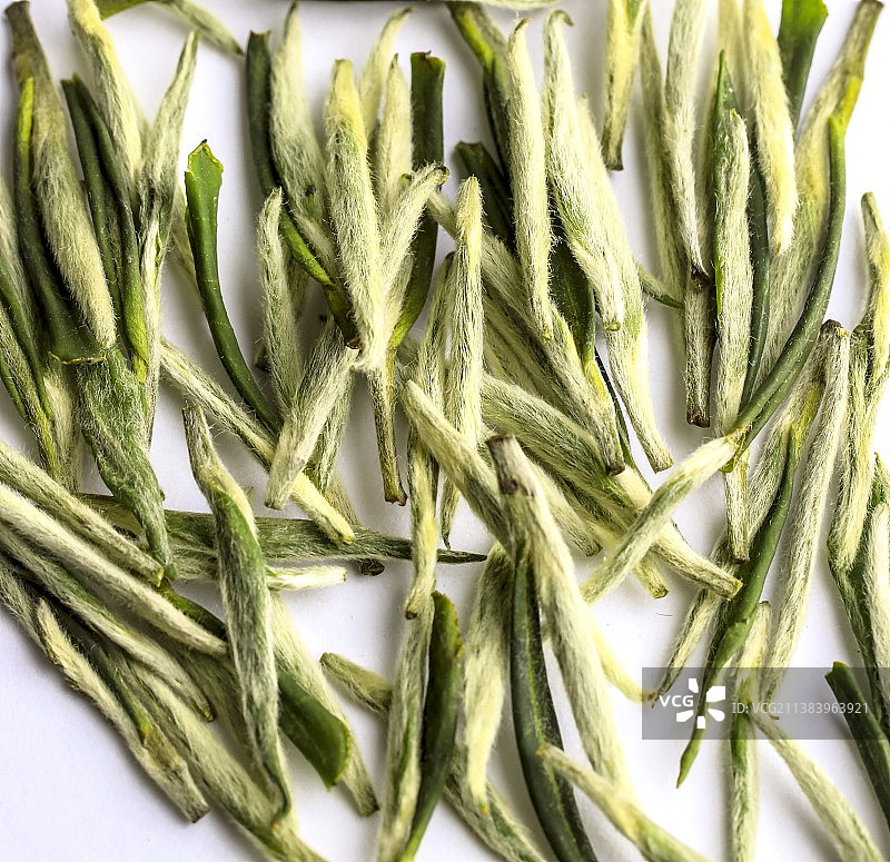 各种日照绿茶图片素材