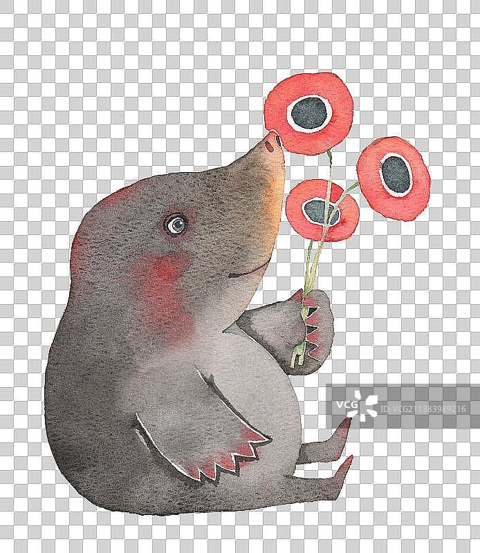 水彩插画 拿着小花的鼹鼠图片素材