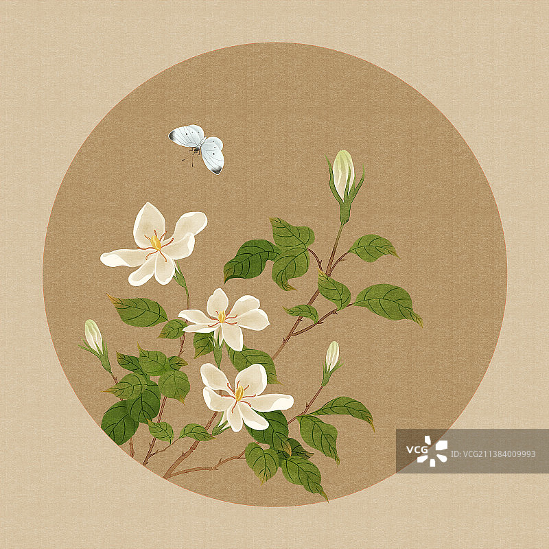 栀子花古风小品静物图片素材