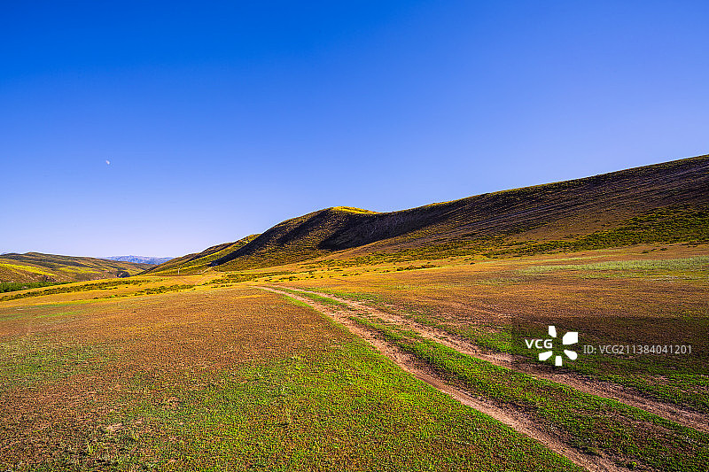 北疆的荒野草原与车辙印图片素材