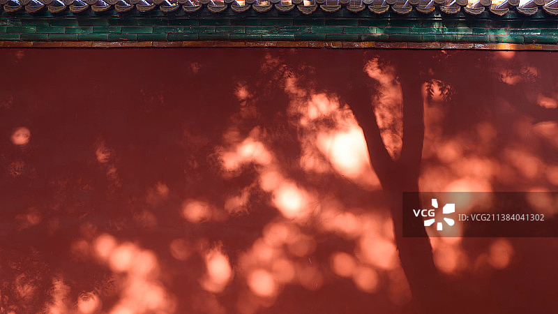 东方元素-红墙树影琉璃瓦图片素材